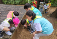 도심 속 자연체험 즐겨요…송파구, 유아숲체험원서 숲 체험프로그램 운영!