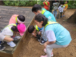 송파구 유아숲체험