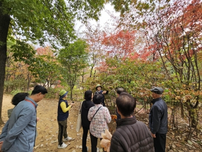 송파구 산림치유