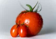 식이요법의 힘: 건강한 체중을 위한 올바른 식단 구성법 orange tomatoes