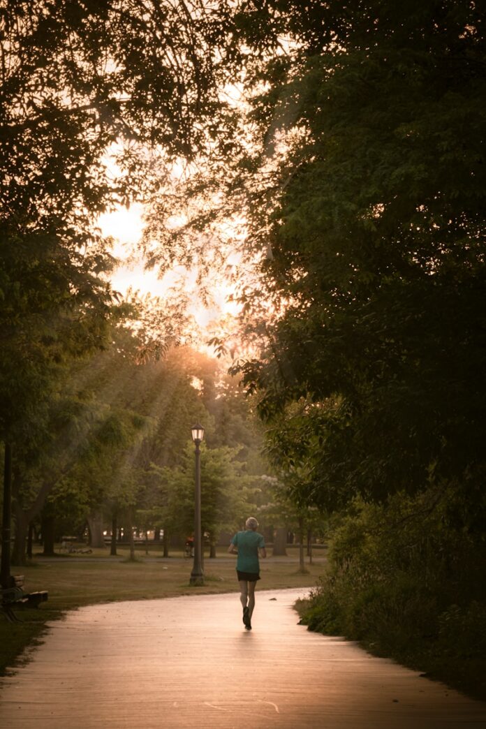 Photo by Lianhao Qu person in blue jacket walking on pathway between trees during daytime