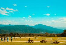 “쉬었는데 더 피곤하다?”…‘무기력한 휴일’의 진짜 원인은 뇌 피로 누적 people on brown field near mountains during daytime