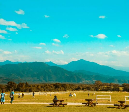 “쉬었는데 더 피곤하다?”…‘무기력한 휴일’의 진짜 원인은 뇌 피로 누적 people on brown field near mountains during daytime