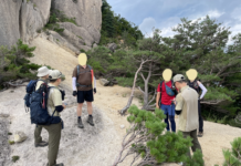 국립공원 여름철 불법·무질서 행위 집중단속