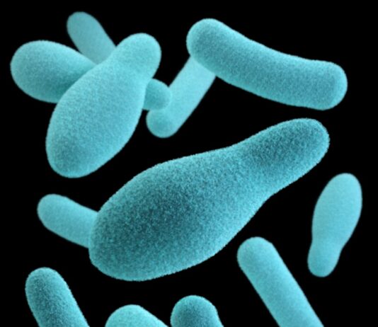 장 건강과 면역력 간의 밀접한 연관 blue and white hearts illustration