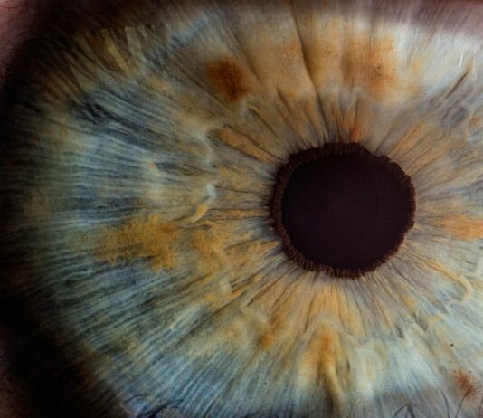 100세 시대의 복병, 노안과 황반변성을 막는 안구 보호 전략 macro photography of human eye