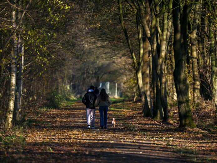 Photo by Haberdoedas Two people walking down a path in the woods