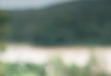 “나를 위한 건강 루틴, 여성의 일상에서 실천하는 새로운 트렌드” a cup of tea and a cell phone on a table