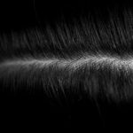 건강한 두피와 모발, 일상 속 작은 변화가 미래를 바꾼다 a black and white photo of some hair