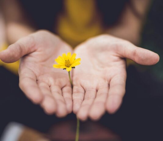 마음챙김 루틴으로 지키는 현대인의 정신건강 selective focus photography of woman holding yellow petaled flowers