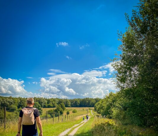 건강을 위한 ‘마음챙김 산책’…도심서 실천하는 휴식의 새로운 트렌드 man in brown t-shirt and blue denim shorts walking on pathway between green grass field